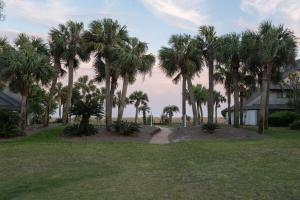 a group of palm trees next to a house at Pool - Ocean View - Walk to Beach - Captain Villa in Fripp Island
