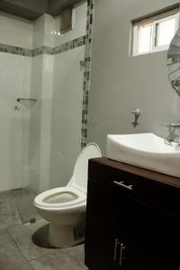 a bathroom with a toilet and a shower and a sink at Departamento en Cuernavaca in Cuernavaca