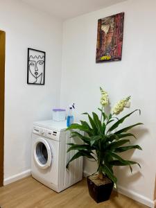 a washing machine in a room with a plant at Krid Tirana Studio Flat in Tirana