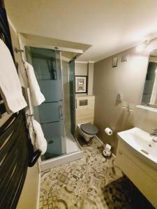 a bathroom with a shower and a toilet and a sink at Mostowa 3 in Bydgoszcz +42 photos
