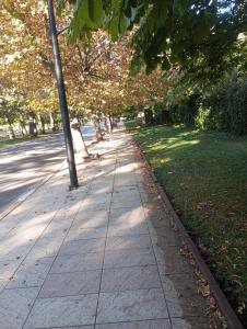 Κήπος έξω από το casa imobilier