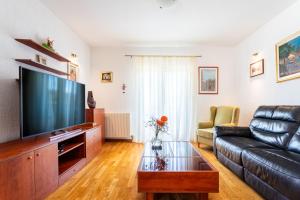 a living room with a leather couch and a flat screen tv at Villa Dome in Slatine