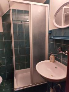 een badkamer met een douche en een wastafel bij Chalúpka Paci in Ždiar