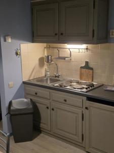 a small kitchen with a sink and a stove at La Mésange Apprivoisée in Vresse-sur-Semois