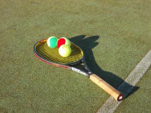 Tennis- og/eller squashfaciliteter på Ferienwohnung Oberförsterei Sosa 2 eller i nærheden