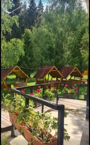 Zahrada ubytování House Vinga