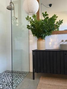 a bathroom with a black cabinet with a plant on it at Sage in Glenlyon +22 photos