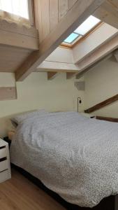 een slaapkamer met een bed en een dakraam bij Casa Mia in Agordo