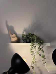 Fotografie z fotogalerie ubytování Eftychia's House v destinaci Marioláta