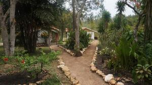 Κήπος έξω από το Pine Ridge Lodge Belize