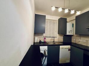 a small kitchen with blue cabinets and a sink at Emerald Room - shared bathroom in Ponders End
