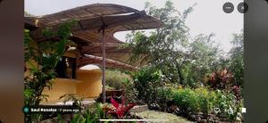 een huis met een paraplu in een tuin bij LaCusuca in Guadalajara