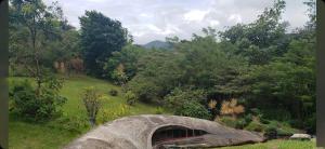 een brug in het midden van een veld met bomen bij LaCusuca in Guadalajara +5 foto's