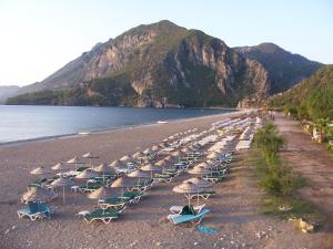 a group of chairs and umbrellas on a beach at Naz Apartlari Cirali in Cıralı