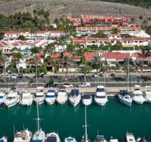 eine Gruppe von Booten, die in einem Yachthafen angedockt sind in der Unterkunft Meloneras Maspalomas Pasito Blanco in Pasito Blanco