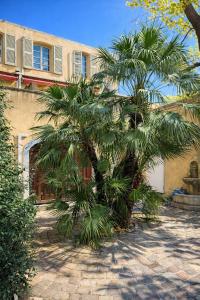 Κήπος έξω από το Logement cocooning Aix en Provence Cours Mirabeau