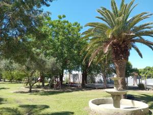 a palm tree in a park with a fountain at Casa quinta in La Banda