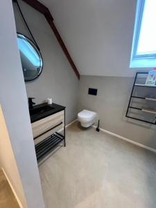une salle de bains avec toilettes, lavabo et miroir dans l'établissement Hotel Aardenburg, à Aardenburg