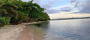 Mioko Island的水体上树木繁茂的海滩