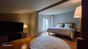 a bedroom with a bed and a flat screen tv at Ginette et Marcel la maison in Saint-Rémy-de-Provence +53 photos