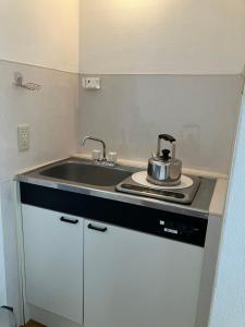 Kuchyň nebo kuchyňský kout v ubytování Green House Tsukuba Studio