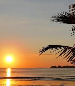 Naturlandskabet i nærheden af feriehuset