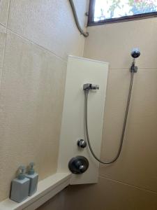 a shower stall in a bathroom with a shower at Green House Tsukuba Studio in Tsukuba