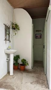a bathroom with a sink and potted plants at Ankaa Hostel in Flores +31 photos