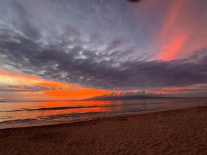 Galeriebild der Unterkunft Kaanapali Shores in Lahaina + 35 Fotos