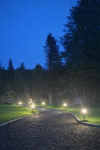a street at night with lights on the road at Glenariff Forest Hideaway in Glenariff