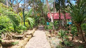 Vườn quanh El Dulce Reposo +16 ảnh