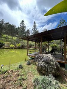 a picnic table and a rock next to a pond at Bhoga Forest 