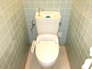 a bathroom with a white toilet and a sink at Hotel Furukawa Hills in Osaki