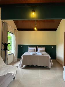 a bedroom with a bed and a green wall at chalé cilla in Caparaó Velho