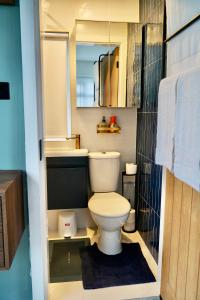 a small bathroom with a toilet and a sink at The Cozy Cave in Castleton +14 photos