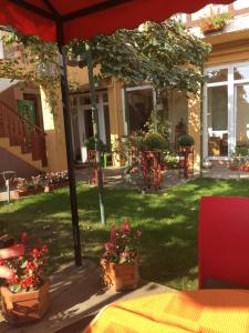 a patio with two potted plants in a yard at Pensiunea Kristine Sibiu in Sibiu