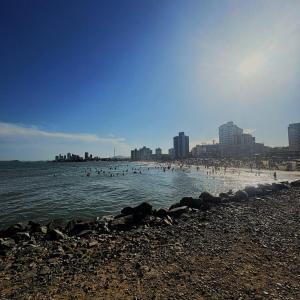 Ein Strand mit vielen Vögeln im Wasser in der Unterkunft Casa Ver-de-perto o Mar in Barra Velha