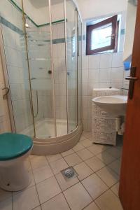 een badkamer met een douche, een toilet en een wastafel bij Apartment Cunski 7951a in Čunski