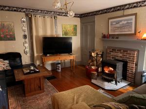 a living room with a fireplace and a flat screen tv at My Valhalla Farm in Oakland