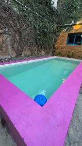 a swimming pool with a blue ball in the middle at A la Gurda Hostel - Barrio Sur in San Miguel de Tucumán