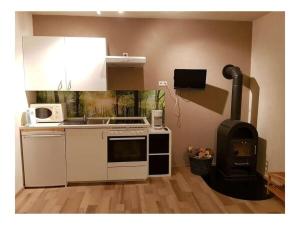 Kuchyň nebo kuchyňský kout v ubytování Neumühle from April 2014!