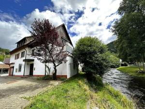 een huis met een boom naast een rivier bij Dream holiday apartment Kinzig-Chalet in Schenkenzell