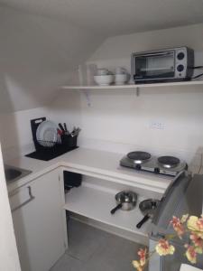 eine kleine Küche mit Herd und Mikrowelle in der Unterkunft C'VAR Community Vacation Apartment Rentals in Saint Michael