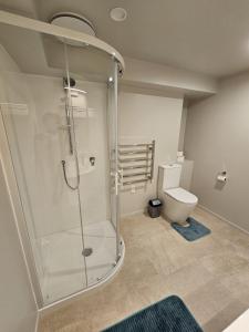 un bagno con doccia e WC di Guest suite Sleeps 4 a New Plymouth Altre 15 foto