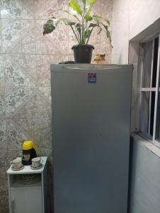 a potted plant sitting on top of a refrigerator at Flat aconchegante na maraponga in Fortaleza