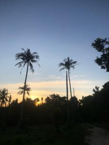 Solopgangen eller solnedgangen set fra den private indkvartering + 5 billeder