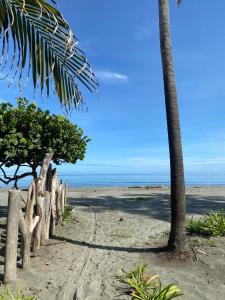 Naturlandskabet i nærheden af lejligheden + 4 billeder