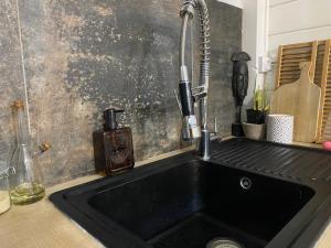 a kitchen sink with a faucet on top of it at Villa cactus in Goyave +23 photos
