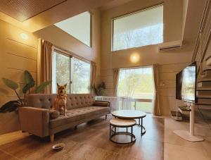 un cane seduto su un divano in soggiorno di CORAL ISLAND 1棟貸し 天然ビーチまで徒歩5秒 ジャグジー付きVilla a Nago