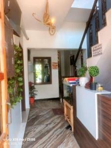 a hallway of a house with potted plants at The Dreams sea view in Puducherry